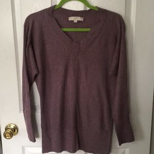 LOFT V Neck Sweater